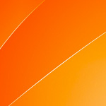 Run, walk, beginner friendly half marathons with 5+ hour time limits.
